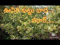 ఊపిరి కుట్టు తో భాధ పడుతున్న వారికి ఇ�