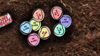 Nina Nesbitt - Make Me Fall (lyrics with a twist)