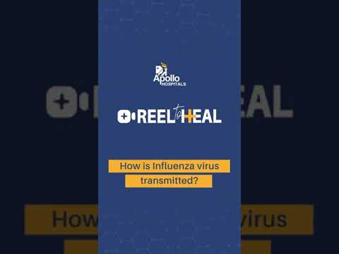 How is the Influenza virus transmitted? | Apollo Hospitals