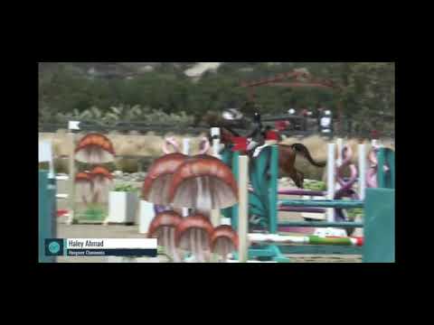 Hangover Chavannais video 3