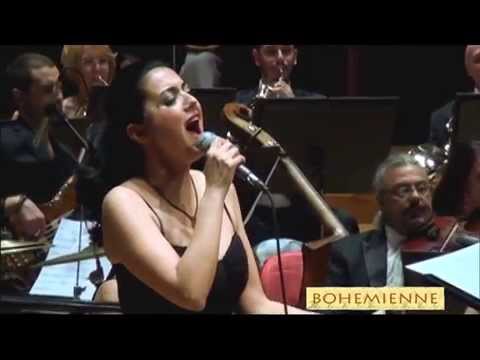 Seran Bilgi Concert Highlights