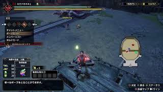 狩ってみよう[MHRSB]★13 参加OK ＃サンブレイク
