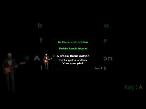 Creedence Clearwater Revival - Cotton Fields - Backing Track with Lyrics