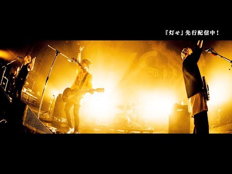 ブル散歩 -VECTOR完成旅行編-