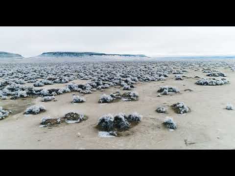 Rohne - Phase (Official Video)