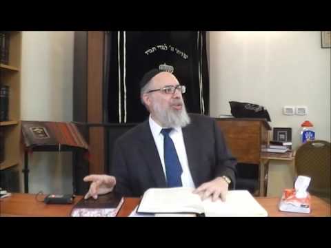 Rabbi Yaacov Haber, Shlit'a, 18 Brachot & 18 Vertebrae vs Kundalini yoga, 5-26-2016