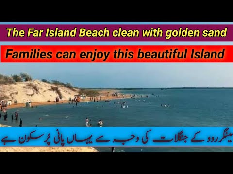 Russian beach port qasim | Far Island beach | Mangrove Forest | Peaceful picnic place Karachi | 101