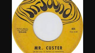 The Search - Mr. Custer