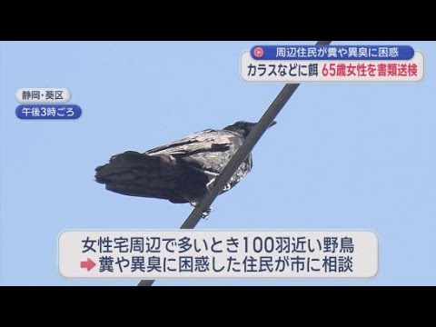 YouTube Video カラスにドッグフードを10年与え続ける…野鳥が100羽近く集まり自宅周辺はふんや異臭　65歳女性を書類送検　違法餌付け容疑で静岡県内初検挙