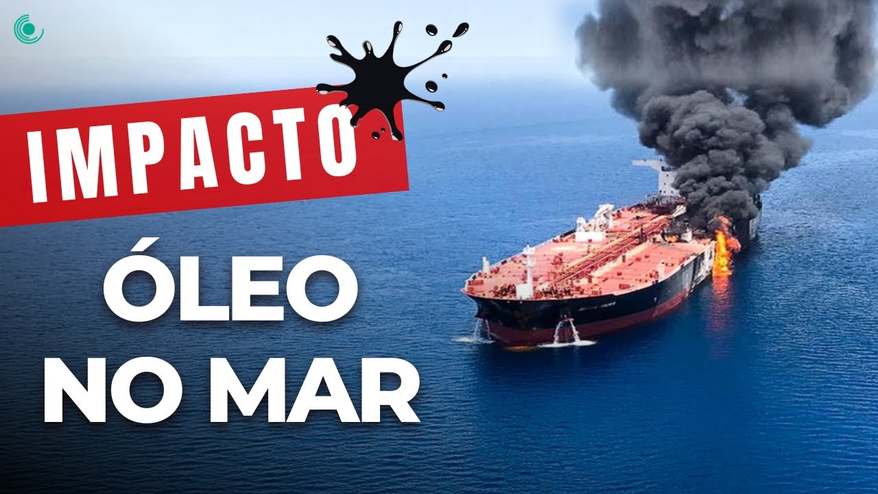 Vazamento de ÓLEO no Mar | DESASTRE AMBIENTAL que afeta a Vida Marinha e a Costa Terrestre