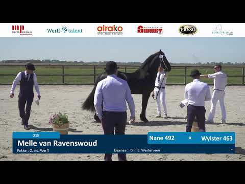 Stal Henswoude | 10 Juni 2023