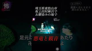 【⬇️本編はコチラ⬇️】悪竜と観音様
