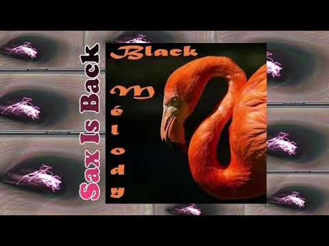 Shakedown - Get Down + Martin Solveig - I'm a Good Man