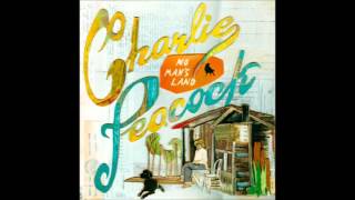 Charlie Peacock - 8 - Till My Body Comes Undone - No Man's Land (2012)