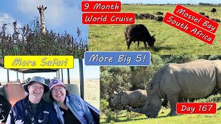South Africa Safari – Rinos, Giraffe, Cape Buffalo, Lions and more!