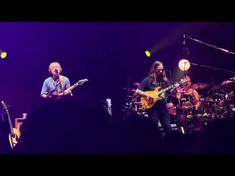 Phish w/Billy Strings ~ Evolve ~ 8/7/24 Grand Rapids, MI