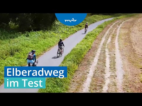 30 Jahre Elberadweg: Fahrradurlaub ohne Massen? | Umschau | MDR