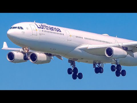40 AIRCAFT in 20 Mins FRANKFURT Airport Plane Spotting
