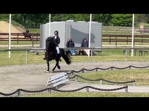 V1 Kronshof Special IPZV Nord Impressionen