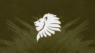 Arman Cekin &amp; Ellusive - Show You Off (feat. Xuitcasecity) (Bass Boosted)