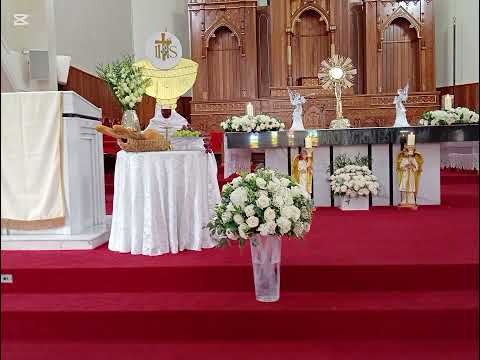 Jueves corpus de la diócesis de San Francisco de Macorís. #catolico #fe #dios #misa #juevescorpus