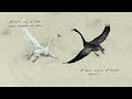 Sufjan Stevens - "The Dress Looks Nice on You" (Official Audio)