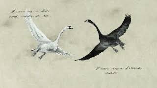 Sufjan Stevens - &quot;The Dress Looks Nice on You&quot; (Official Audio)