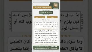 صورة 4219 - كيفية تطهير الثوب من بول الصبي - نور على الدرب