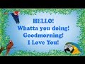 Teach Your Parrot To Say Hello Whatta You Doing Goodmorning I Love You With 1 Hour Breaks