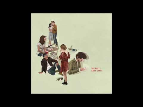 Andy Shauf ‎– Quite Like You (LP)