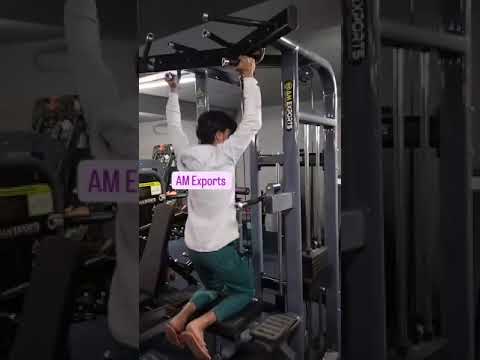 Dip Chin Assist