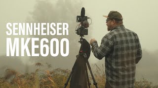 Video thumbnail for Sennheiser MKE600 || Battery vs. Phantom Power by Thomas Fransson