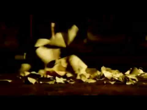 Kings Of Leon vs Nelly vs The Outlfield - Your Love Is On Fire (Dj Savory video-Serafin Mashup)