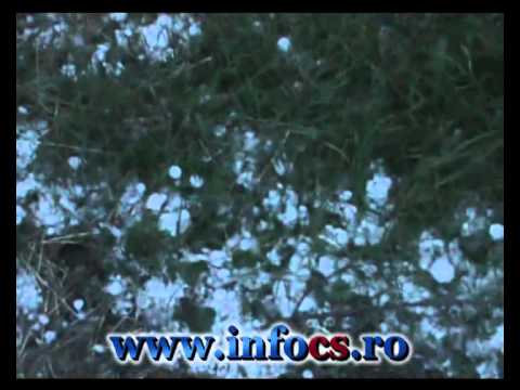 Furtuna si dezastru la Gradinari CS