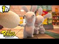 Fear In The Supermarket 🫨 RABBIDS INVASION 1H Compilation Cartoon For Kids