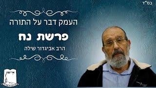 העמק דבר על התורה | פרשת נח | הרב אביגדור שילה (ישיבת אור עציון) - התמונה מוצגת ישירות מתוך אתר האינטרנט יוטיוב. זכויות היוצרים בתמונה שייכות ליוצרה. קישור קרדיט למקור התוכן נמצא בתוך דף הסרטון העמק דבר על התורה | פרשת נח | הרב אביגדור שילה (ישיבת אור עציון) - התמונה מוצגת ישירות מתוך אתר האינטרנט יוטיוב. זכויות היוצרים בתמונה שייכות ליוצרה. קישור קרדיט למקור התוכן נמצא בתוך דף הסרטון