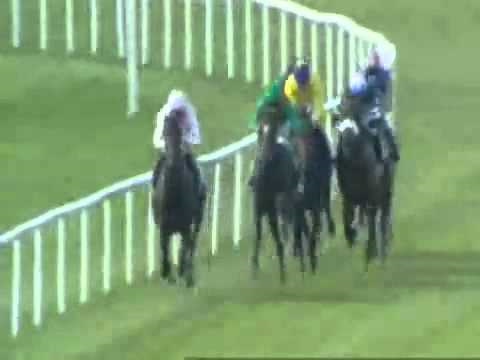 sea the stars beresford stakes.rm