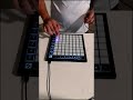 NEXT Brazilian Phonk On Launchpad Shorts Phonk Music Brazilian Viral Phonkmusic Tiktok