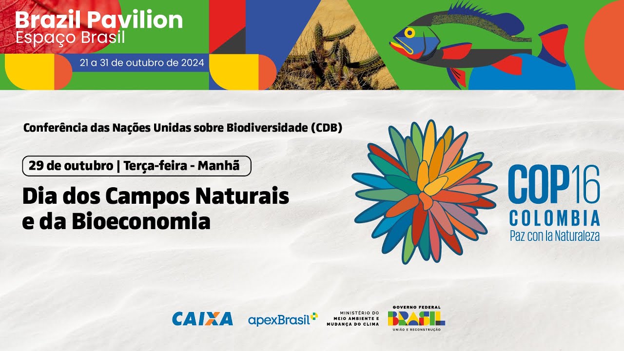 Espaço Brasil COP 16 — 29/10 — Manhã: Campos Naturais e Bioeconomia