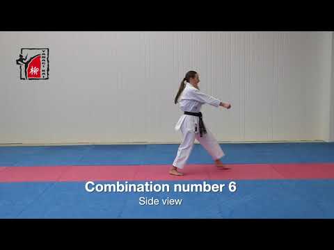 Combination - No 6