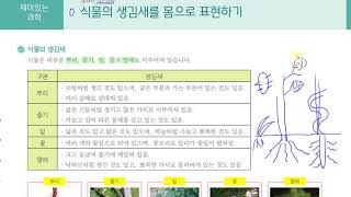 [초등과학 6-1 무료강의] 4. 식물의 구조와 기능 0차시 식물의 생김새를 몸으로 표현하기