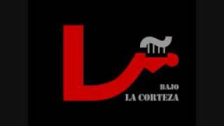 Mago de oz - Que desilusión