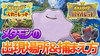 【ポケモンSV】メタモンの捕獲方法&出現場所を解説！おまけでゾロアの捕獲方法も！【ポケットモンスター スカーレット・バイオレット】