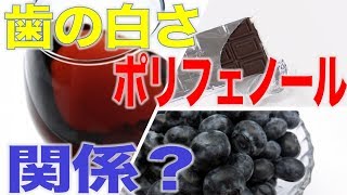 歯の白さとポリフェノールの関係？