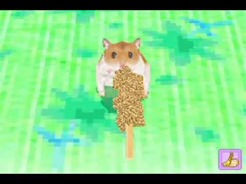 もっと!ハムスターと暮らそう 赤ちゃんが生まれたよ