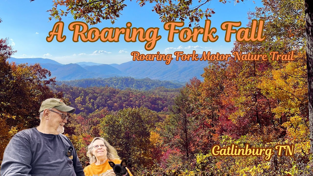 A Roaring Fork Fall 2024 | Roaring Fork Motor Nature Trail | Gatlinburg TN