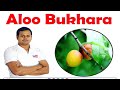 aloo bukhara tree or plum plant