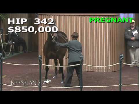 2015 November Breeding Stock Sale: Hip 342 - LACADENA