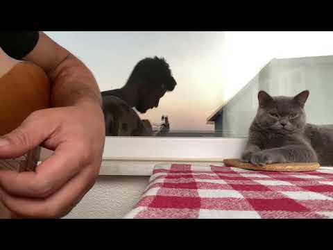 SADIK DİNLEYİCİ KİTLEM ;)  