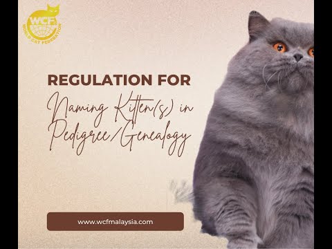 WCF Regulation for Naming Kitten(s) in Pedigree/Genealogy